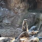 2021-06-17 ZOO Hodonn